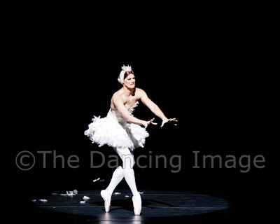 Dying Swan-0541