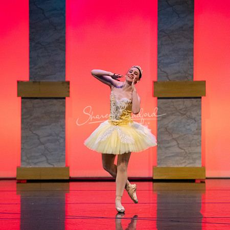 Ballet NTX Sleeping Beauty pc Sharen Bradford-0194