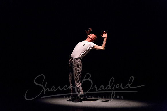 Revenir- pc Sharen Bradford-0251