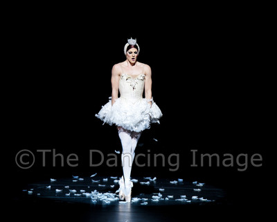 Dying Swan-0522