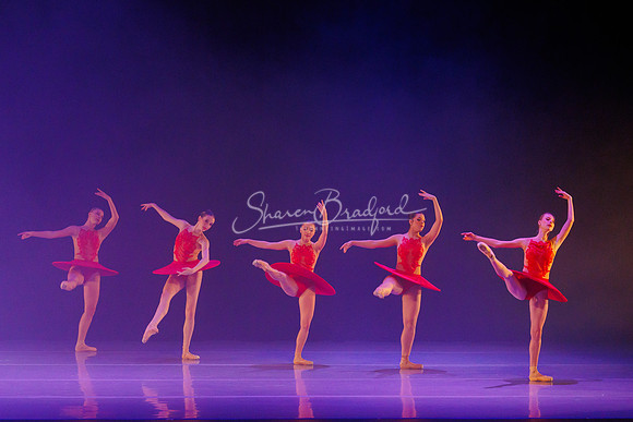 BalletNTX Frequency 434 pc Sharen Bradford-0047
