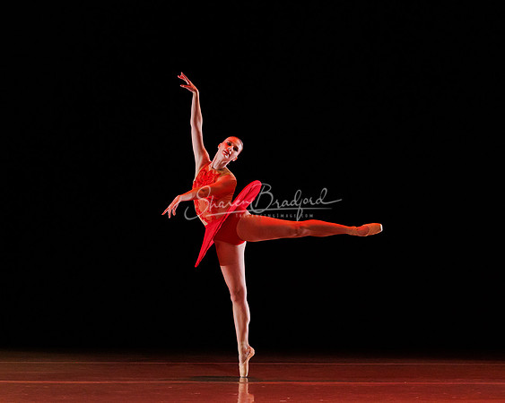 BalletNTX Frequency 434 pc Sharen Bradford-0116