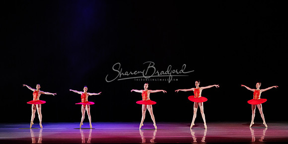 BalletNTX Frequency 434 pc Sharen Bradford-0148