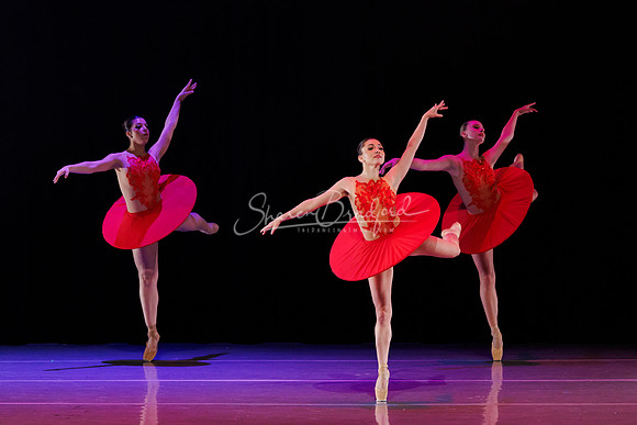 BalletNTX Frequency 434 pc Sharen Bradford-0163