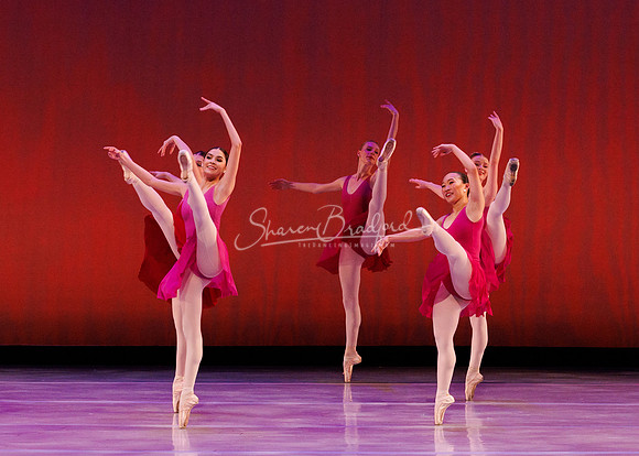 BalletNTX Pastoral pc Sharen Bradford-0720
