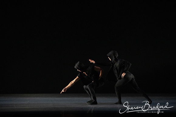 Forbidden Paths pc Sharen Bradford-1293