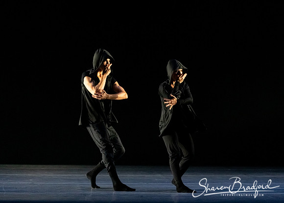 Forbidden Paths pc Sharen Bradford-1298