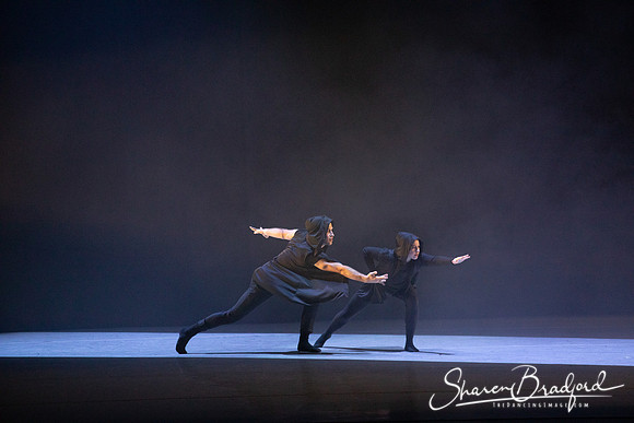 Forbidden Paths pc Sharen Bradford-3271