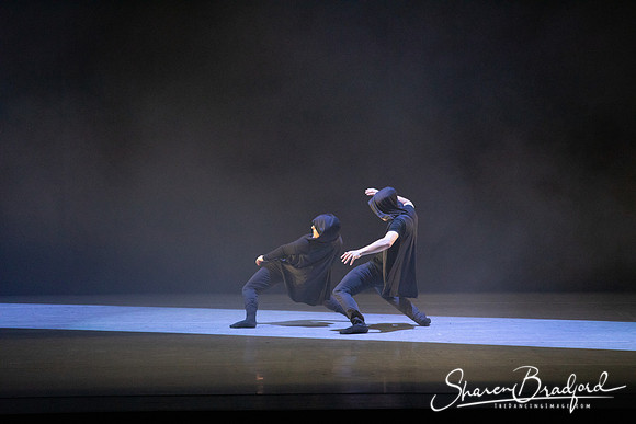 Forbidden Paths pc Sharen Bradford-3280