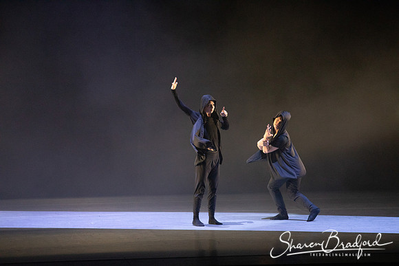 Forbidden Paths pc Sharen Bradford-3299
