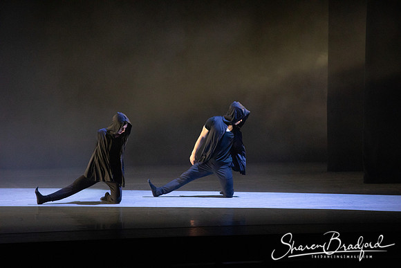 Forbidden Paths pc Sharen Bradford-3305