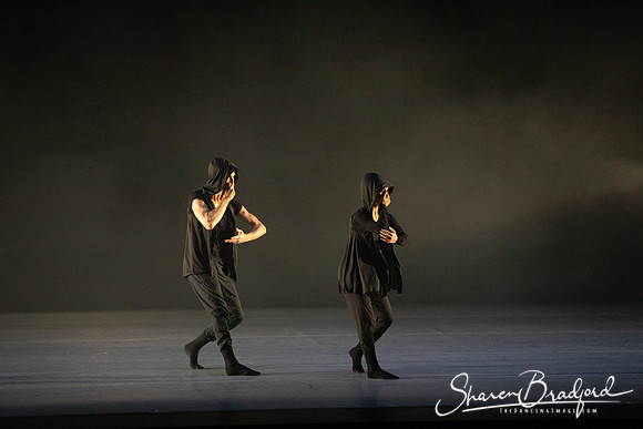 Forbidden Paths pc Sharen Bradford-3340