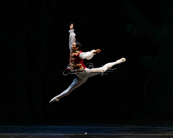 Ballet NTX Sleeping Beauty pc Sharen Bradford-1519
