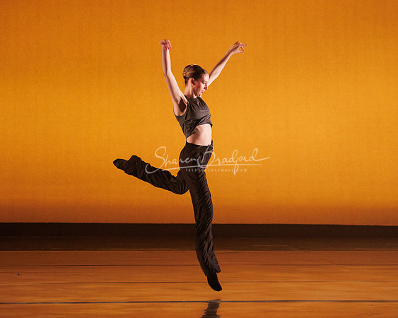 BalletNTX Shifting Slowly pc Sharen Bradford-0849