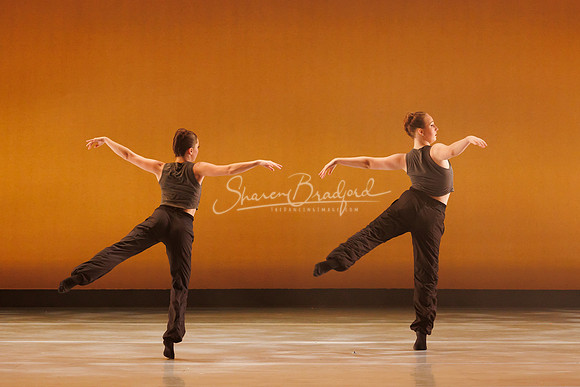 BalletNTX Shifting Slowly pc Sharen Bradford-0892