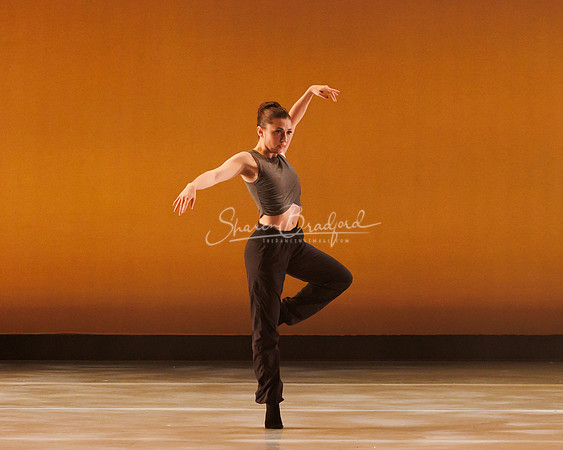 BalletNTX Shifting Slowly pc Sharen Bradford-0893