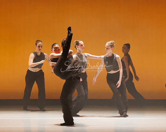 BalletNTX Shifting Slowly pc Sharen Bradford-0901