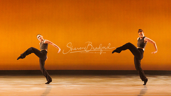BalletNTX Shifting Slowly pc Sharen Bradford-0898