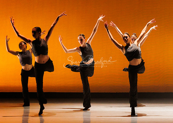 BalletNTX Shifting Slowly pc Sharen Bradford-0910