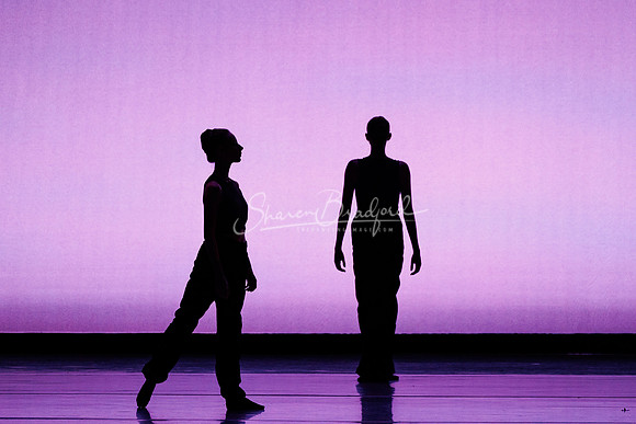 BalletNTX Shifting Slowly pc Sharen Bradford-0977