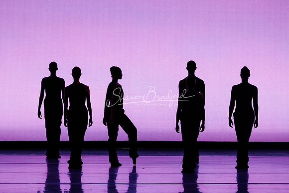 BalletNTX Shifting Slowly pc Sharen Bradford-0979