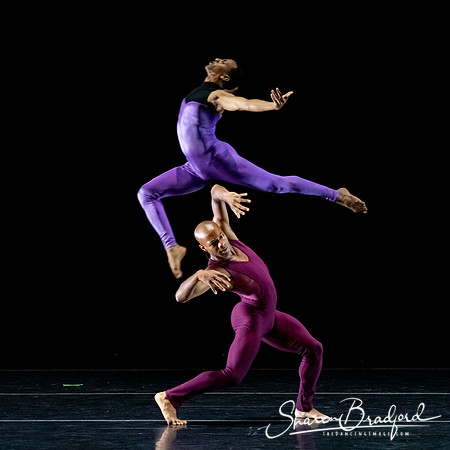DBDT Execution of a Sentiment pc Sharen Bradford-1096