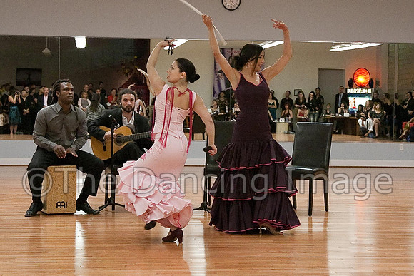 Flamenco-2-82