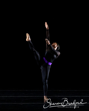 DBDT Execution of a Sentiment pc Sharen Bradford-1066