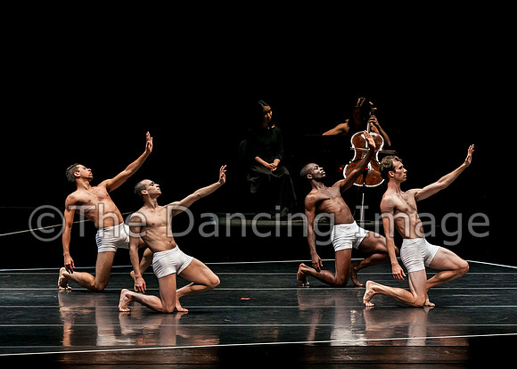 Spectrum Dance - LOVE-0742