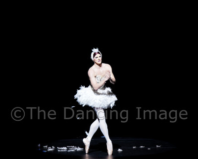 Dying Swan-0540