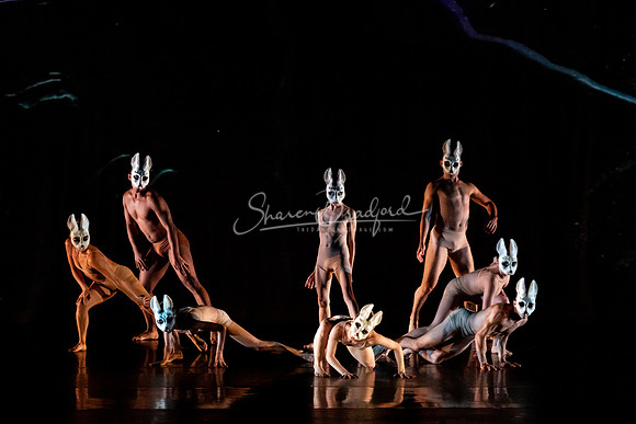Momix ALICE 9-17-21 pc Sharen Bradford-1469