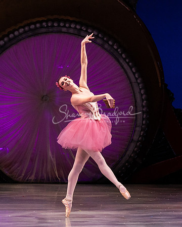 ACB Nutcracker 2023 pc Sharen Bradford-1876