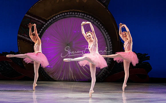 ACB Nutcracker 2023 pc Sharen Bradford-1920