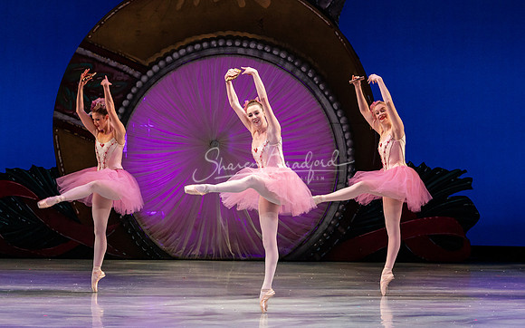 ACB Nutcracker 2023 pc Sharen Bradford-1927