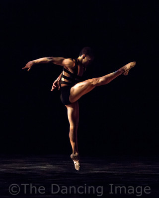 Growth_Albert Drake-1279