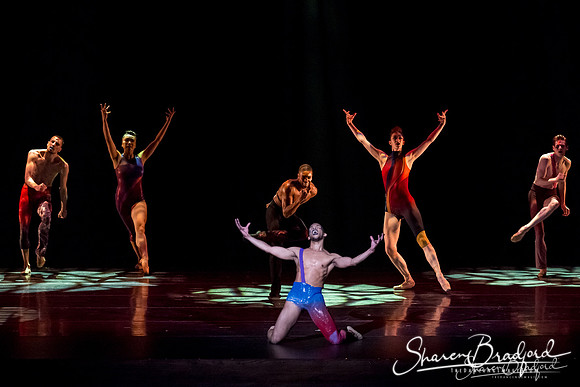 Stardust-pc Sharen Bradford-1147