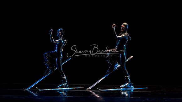 Millennium Skiva pc Sharen Bradford-8481