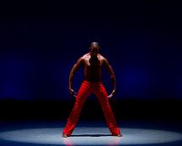 Alvin Ailey ADT