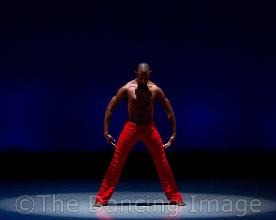Alvin Ailey ADT-0008