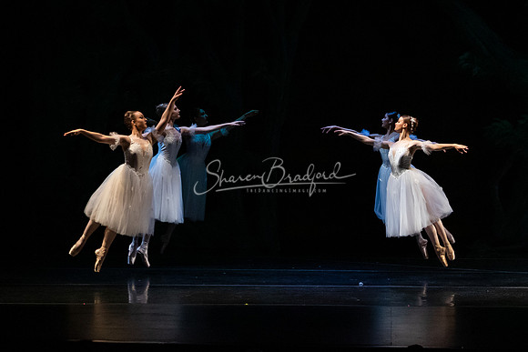 Ballet NTX Sleeping Beauty pc Sharen Bradford-1391