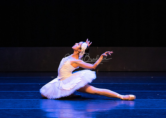 Dying Swan pc Sharen Bradford-1227