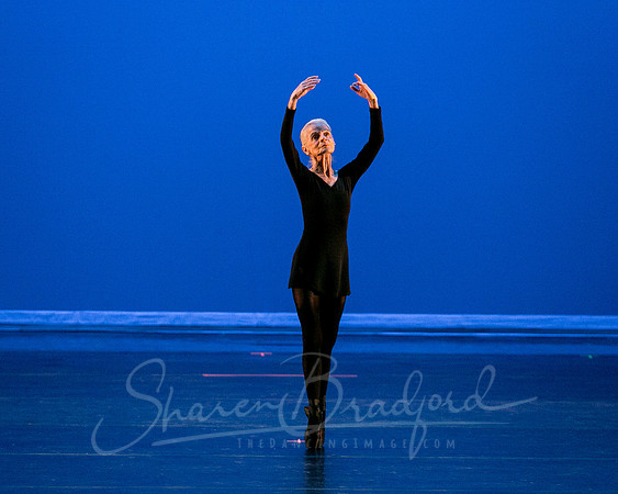 Suzelle Poole- Romance-1269