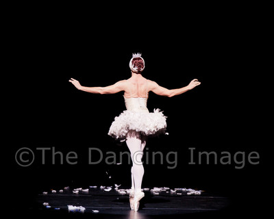 Dying Swan-0509