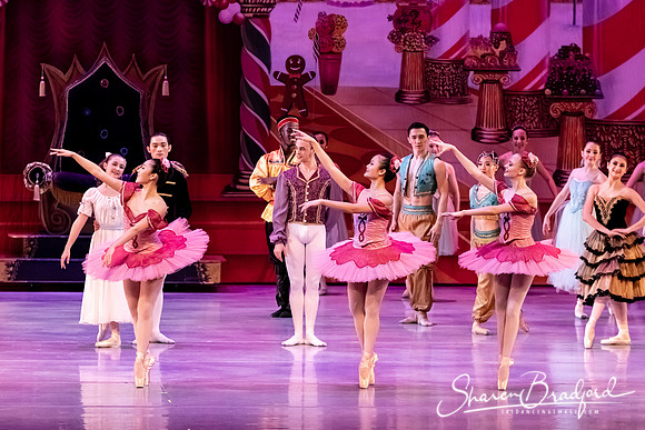 CCBT Nutcracker 19 pc Sharen Bradford-5424