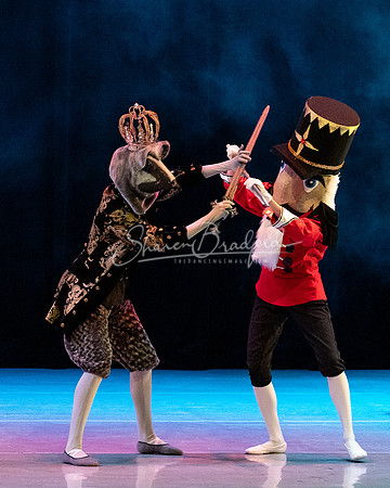 BNT Nutcracker 2023 pc Sharen Bradford-1003
