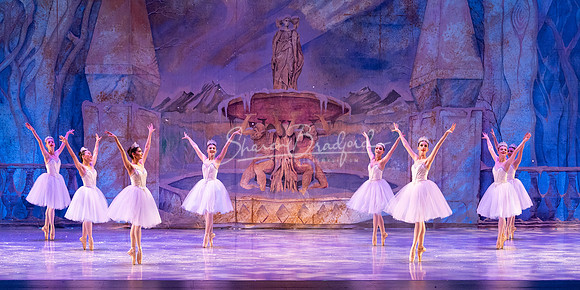 BNT Nutcracker 2023 pc Sharen Bradford-1429
