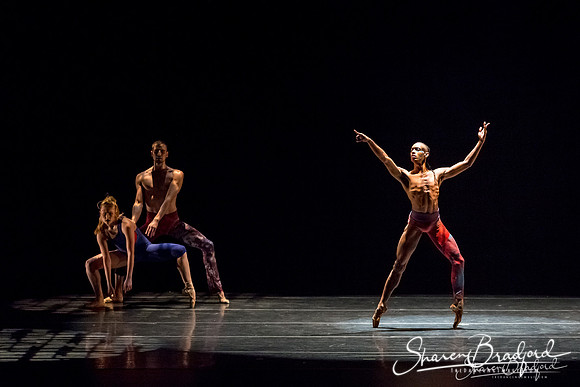 Stardust-pc Sharen Bradford-1236