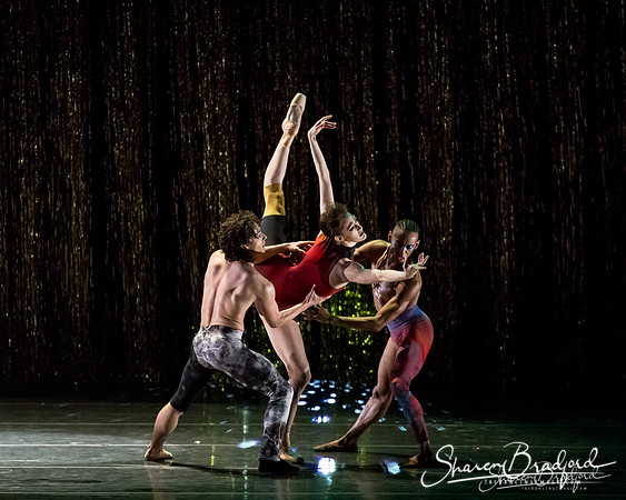 Stardust-pc Sharen Bradford-1539