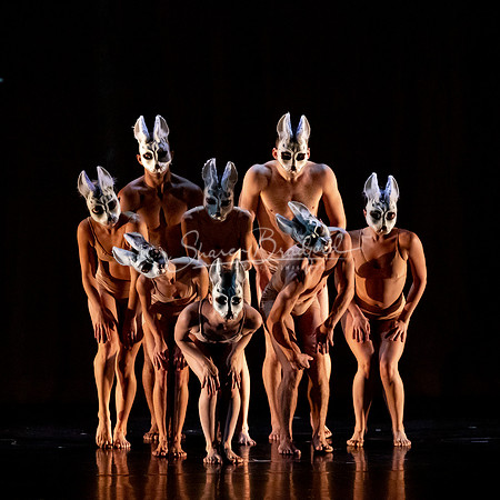 Momix ALICE 9-17-21 pc Sharen Bradford-1452