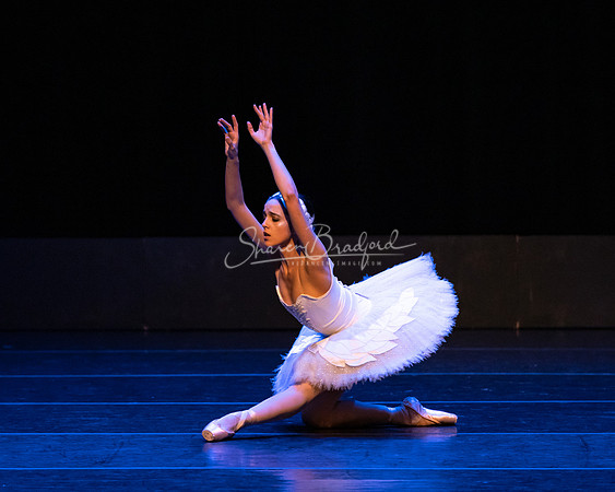 Dying Swan pc Sharen Bradford-1220